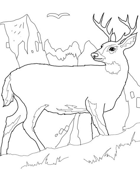 We found for you 15 pictures from the collection of deer coloring hunting! Free Printable Deer Coloring Pages For Kids