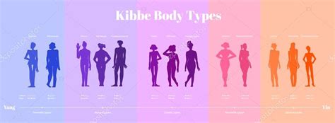 Kibbe Body Types Introduction 13 Kibbe Body Types Wit