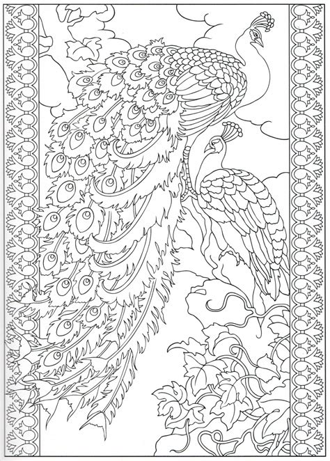 Select one of 1000 printable coloring pages of the category adult. Peacock coloring page 13/31 | Peacock coloring pages ...