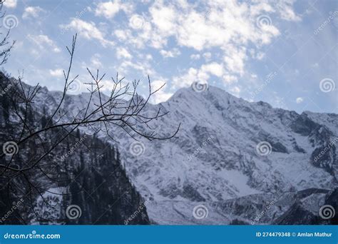 Snow Covered Mountains With Dead Tree Branches In The Foreground Topped