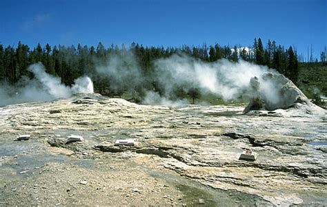 Usa Wyoming Yellowstone National Park Geyser Hill