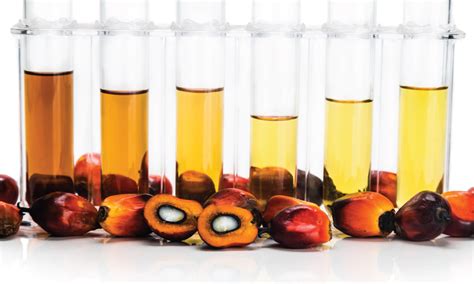Supporting the oleochemical industry is an abundant supply of palm oil with malaysia being the world's second largest palm oil producer within malaysia, johor state, where tanjung piai maritime industrial park is located, is among the top three palm oil and oleochemical producing states. How oleochemicals production is contributing to the palm ...