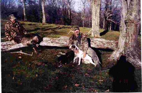 Deadeye Tommy Barnham And His Wild Turkey Hunting Dog Zeke From Virginia