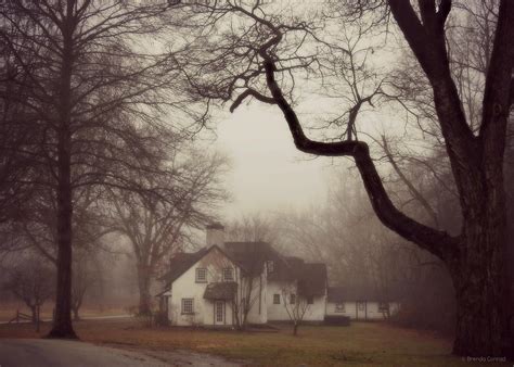Foggy Cottage Photograph By Dark Whimsy Fine Art America