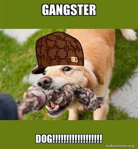 Gangster Dog Scumbag Dog Make A Meme