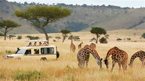 Visiting East Africa Vs Southern Africa Micato Safaris