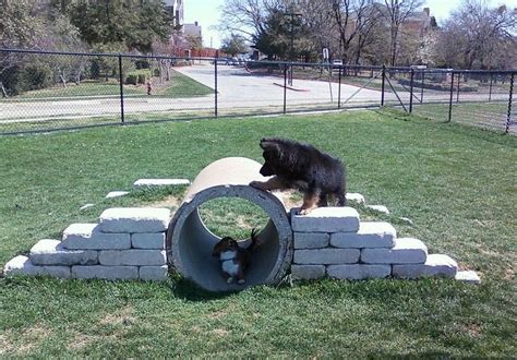 There is a small and large dog area, both. Tunnel … | Dog playground, Dog backyard, Outdoor dog