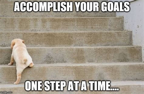 41 Goals Memes To Inspire A Successful 2023 Freejoint