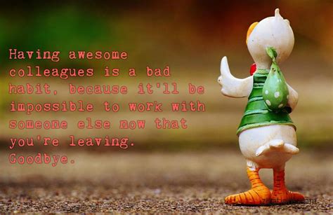 From silly sayings to quotes that offer a lighthearted, humorous farewell that can help replace the sadness with laughter. Funny Goodbye Quotes For Close Colleagues - Zitations