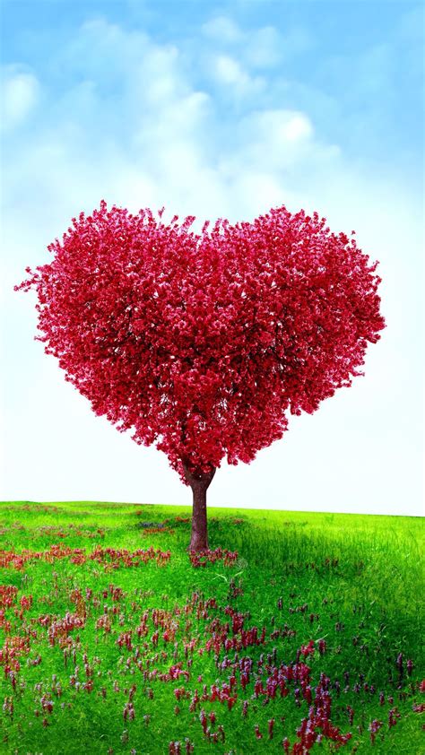 Heart Tree Wallpapers Wallpaper Cave