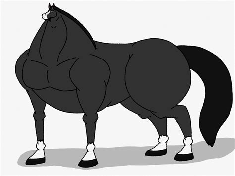 New Horse Fursona Character Design By Musclerabbit9090 On Deviantart