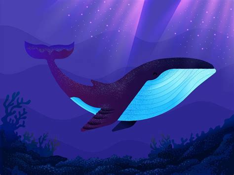 Cute Purple Whale Wallpapers Top Free Cute Purple Whale Backgrounds