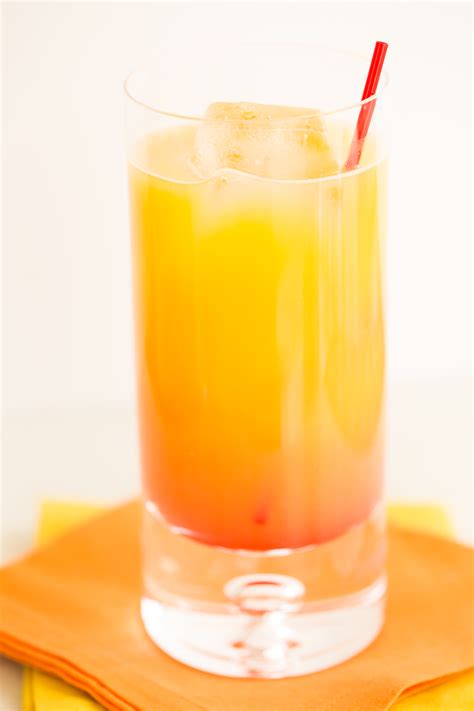 Tequila Sunrise | The Drink Kings