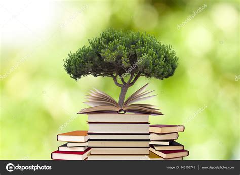 Tree Growing In Open Book Stock Photo By ©carballo 143103745