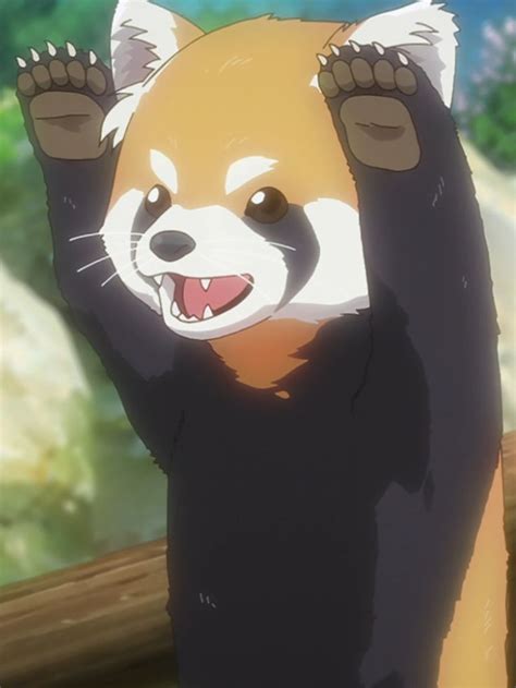 Anime Red Panda From Senpai Ga Uzai Kouhai No Hanashi My Senpai Is
