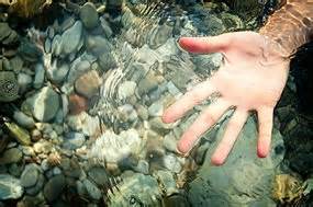 Why Do Your Fingertips Go Wrinkly In Water Ask An Expert Abc Science