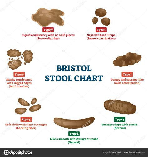Bristol Stool Chart Stock Illustrations Bristol Stool Chart Stock The Best Porn Website