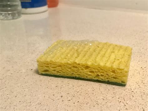 Natural Sustainable Alternatives To Kitchen Dish Sponges