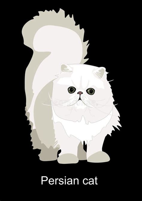 Stylized Persian Cat Stock Vector Illustration Of Long 16951758