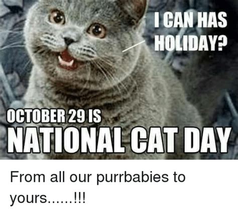 Icanhas Holiday October 29 Is National Cat Day From All Our Purrbabies