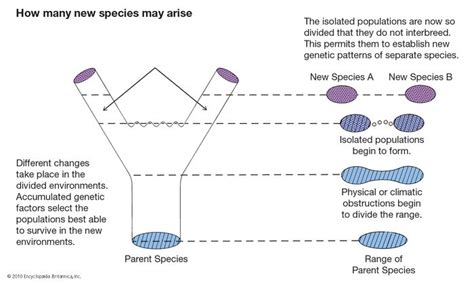 Speciation Causes Process And Types Britannica