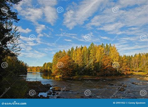 Swedish River In Autumn Stock Photo Image Of Calm Foliage 3991952