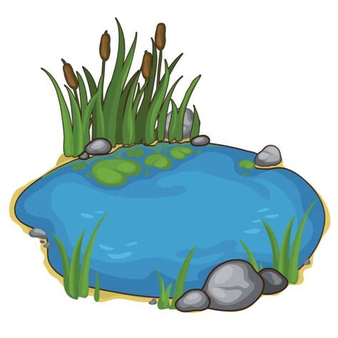 Small Pond Illustrations Royalty Free Vector Graphics And Clip Art Istock