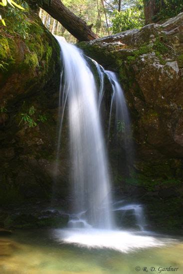 Grotto Falls In The Great Smoky Mountain National Park