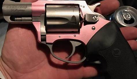 charter arms the pink lady