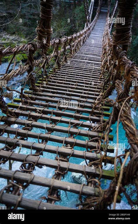 Die Iya Kazurabashi Vine Bridge Aus Actinidia Arguta Und Stahlseil In