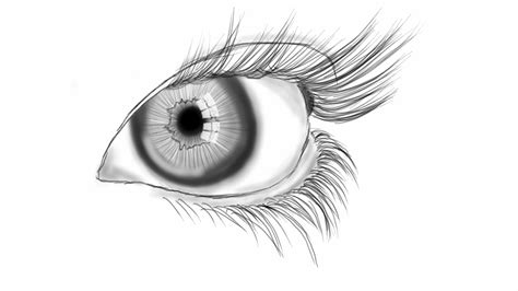 Eye Line Drawing Adult Coloring Pages Coloring Sheets Line Art
