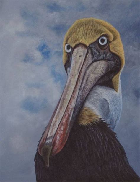 Brown Pelican Painting In Acrylic By Kathrin Guenther
