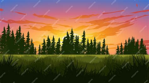 Premium Vector Early Morning Sunrise Over Pine Forest With Meadow