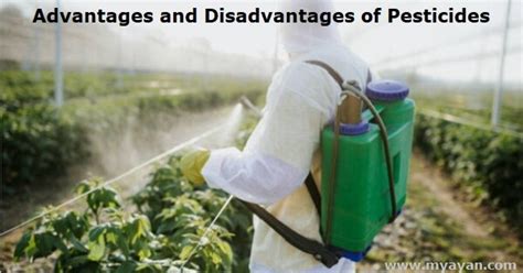 What Are The Advantages And Disadvantages Of Pesticides