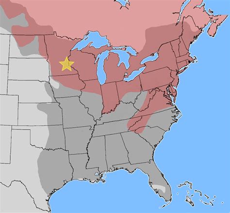 Range Of American Red Squirrel Tamiasciurus Hudsonicus
