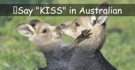 What Is An Australian Kiss Aussie Kiss Travel Pixy
