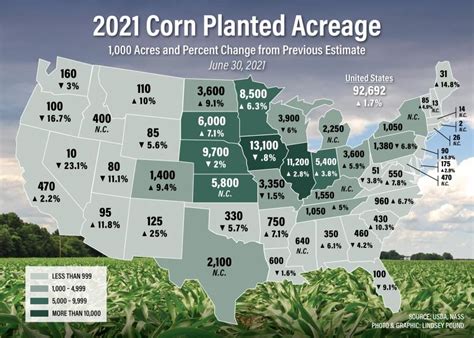 Market Surprise Lower Than Expected Planted Acres Send Prices Higher