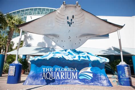 The Florida Aquarium En Tampa Orlando Florida Guía Local