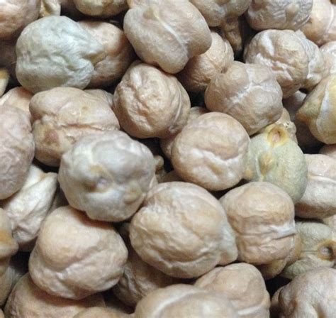 Buy Chickpeas Ord River Beans Legumes Micks Nuts