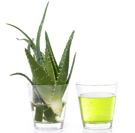 Aloe vera juice(affiliate link) and aloe vera gel(affiliate link) can be considered holy grail status for any regimen regardless of curl type or if your hair is relaxed or natural, because both are chalk full of some amazing things. Free Stock Photo of Aloe vera on the table with juice ...