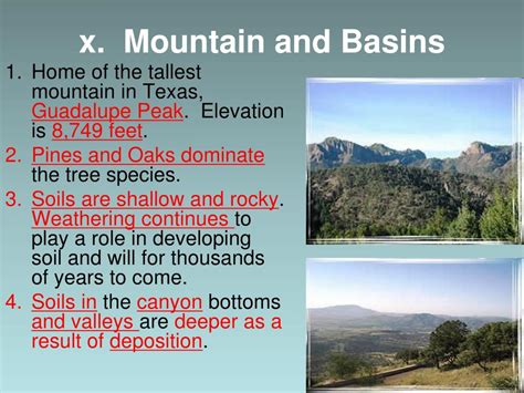 Ppt Texas Ecoregions Powerpoint Presentation Free Download Id6086189