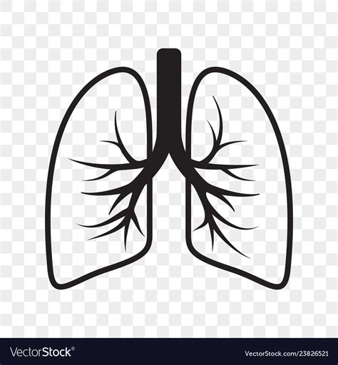 Lungs Outline Icon Cold Cough And Bronchitis Lung Vector Image