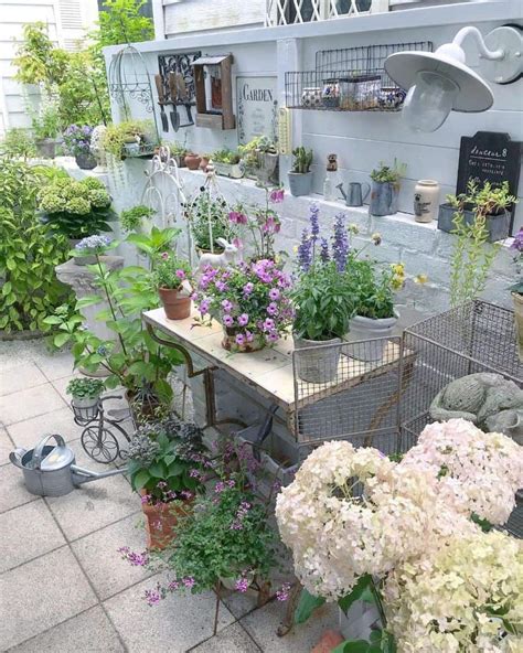 71 Container Garden Ideas For Every Setting In 2024