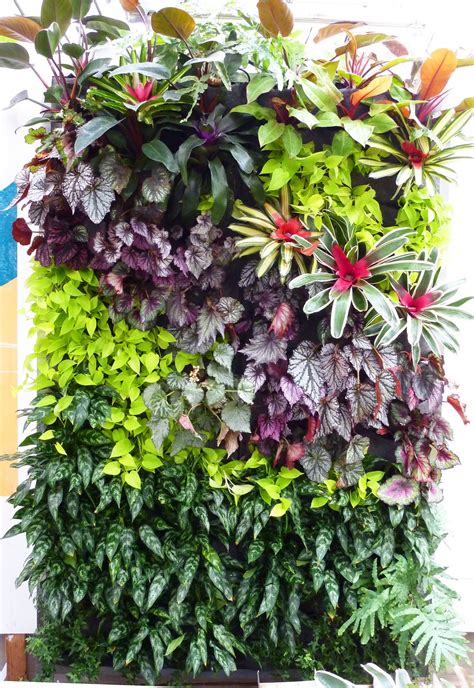 The holes at the bottom of wallgarden there are a number of quality potting mix's suitable for vertical gardens available, here is what to look out for; Full Tropical Walls at SF Foliage