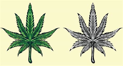 Maconha Vetor Cannabis Folha Erva Daninha Cone Logotipo Grampo Arte