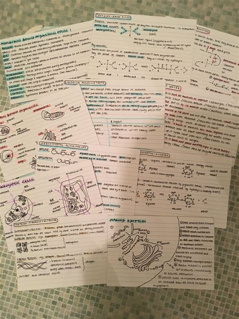 Type a viruses are divided on the basis of the difference in a viral surface protein called haemagglutinin and neuraminidase. A level revision for biology cells topic and biological ...