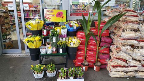 Any day is a good time to send flowers and put a smile on someone's face. Wholesale Flower Suppliers | Sheya Flowers