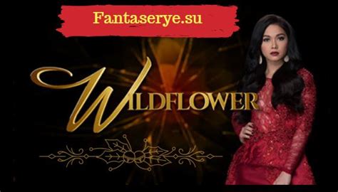 Wildflower March 31 2020 Pinoy Hd Full Episode Fantaserye