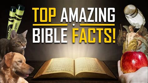 Top Amazing Bible Facts Youtube