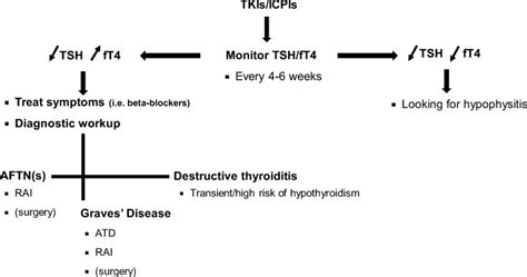 Diagnosis And Management Of Hyperthyroidism Induced By Tyrosine Kinase
